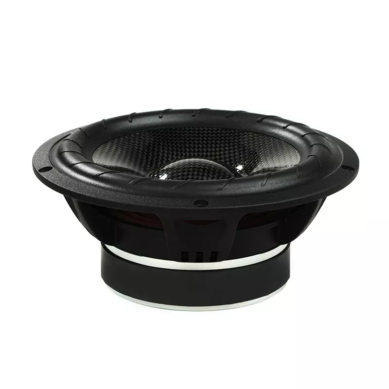 2-vägs Carbon Fiber högtalare